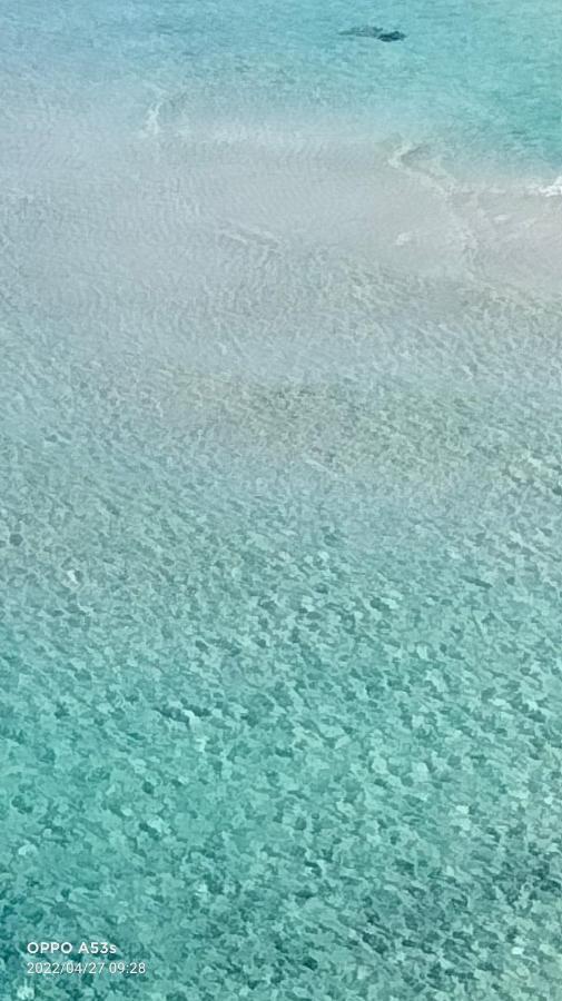 Acquario Daire Lido Marini Dış mekan fotoğraf